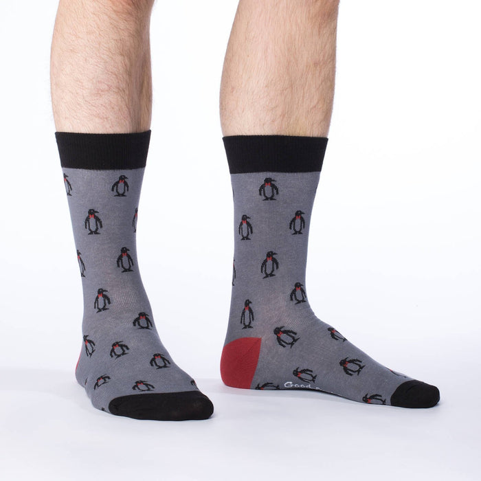 Men's Big & Tall Penguin Socks